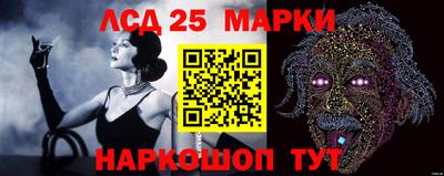 гашик Анжеро-Судженск