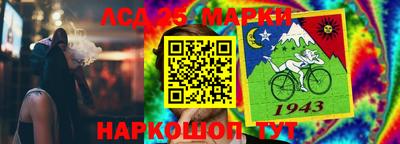 гашик Анжеро-Судженск