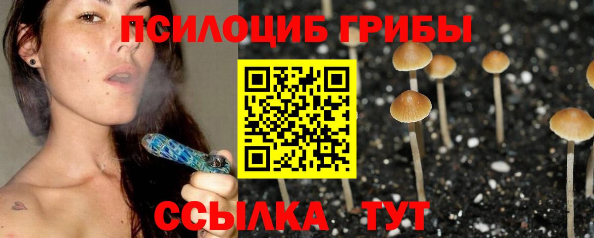 Красноармейск  Галлюциногенные грибы мицелий  Вход с VPN  Галлюциногенные грибы мицелий 