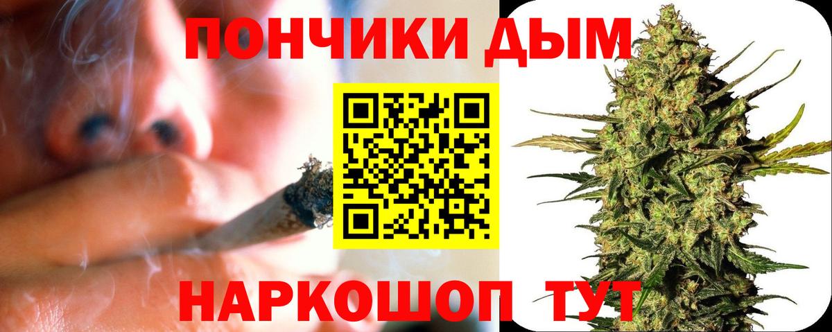 Канабис ГИДРОПОН  Канабис сатива  Красноармейск  Вход с VPN  Канабис конопля 